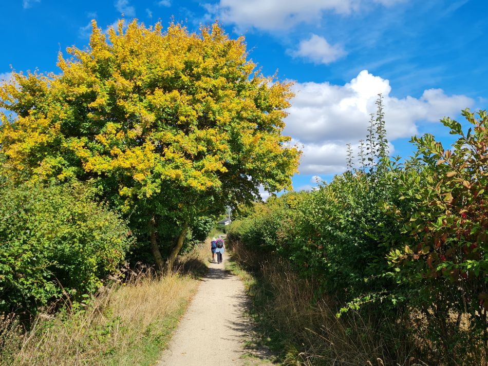 2022-09-24 25 Devizes.jpg