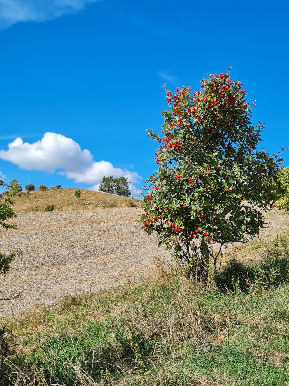 2022-09-24 28 Devizes.jpg