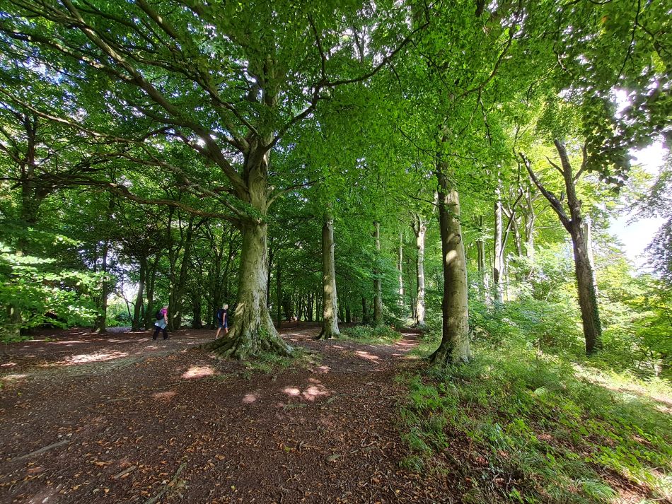 2022-09-24 31 Devizes.jpg