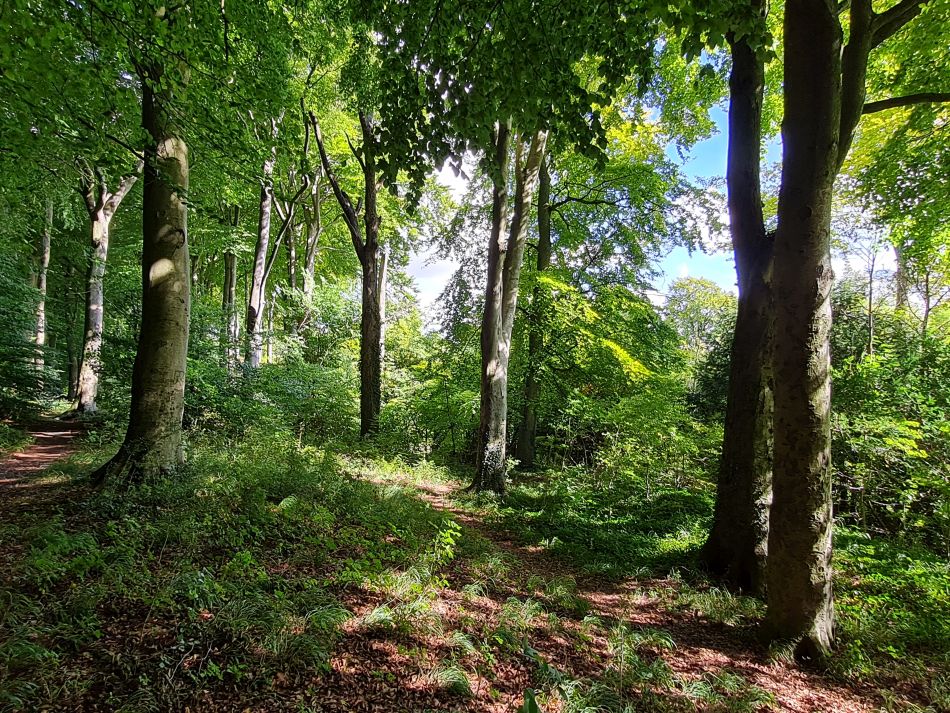 2022-09-24 32 Devizes.jpg