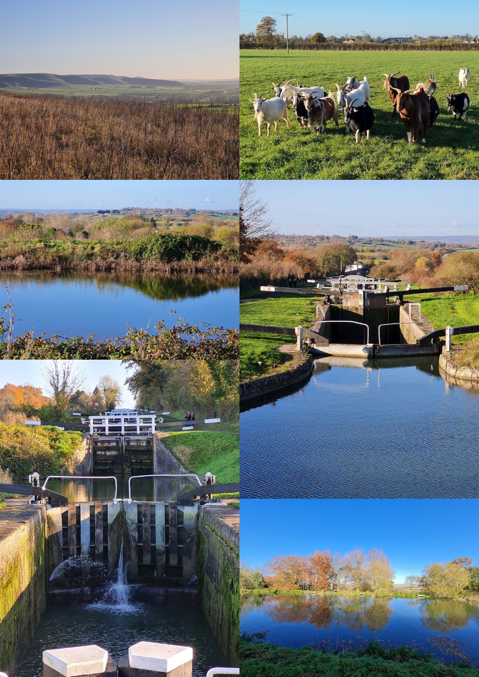 2022-09-24 98 Image.jpg