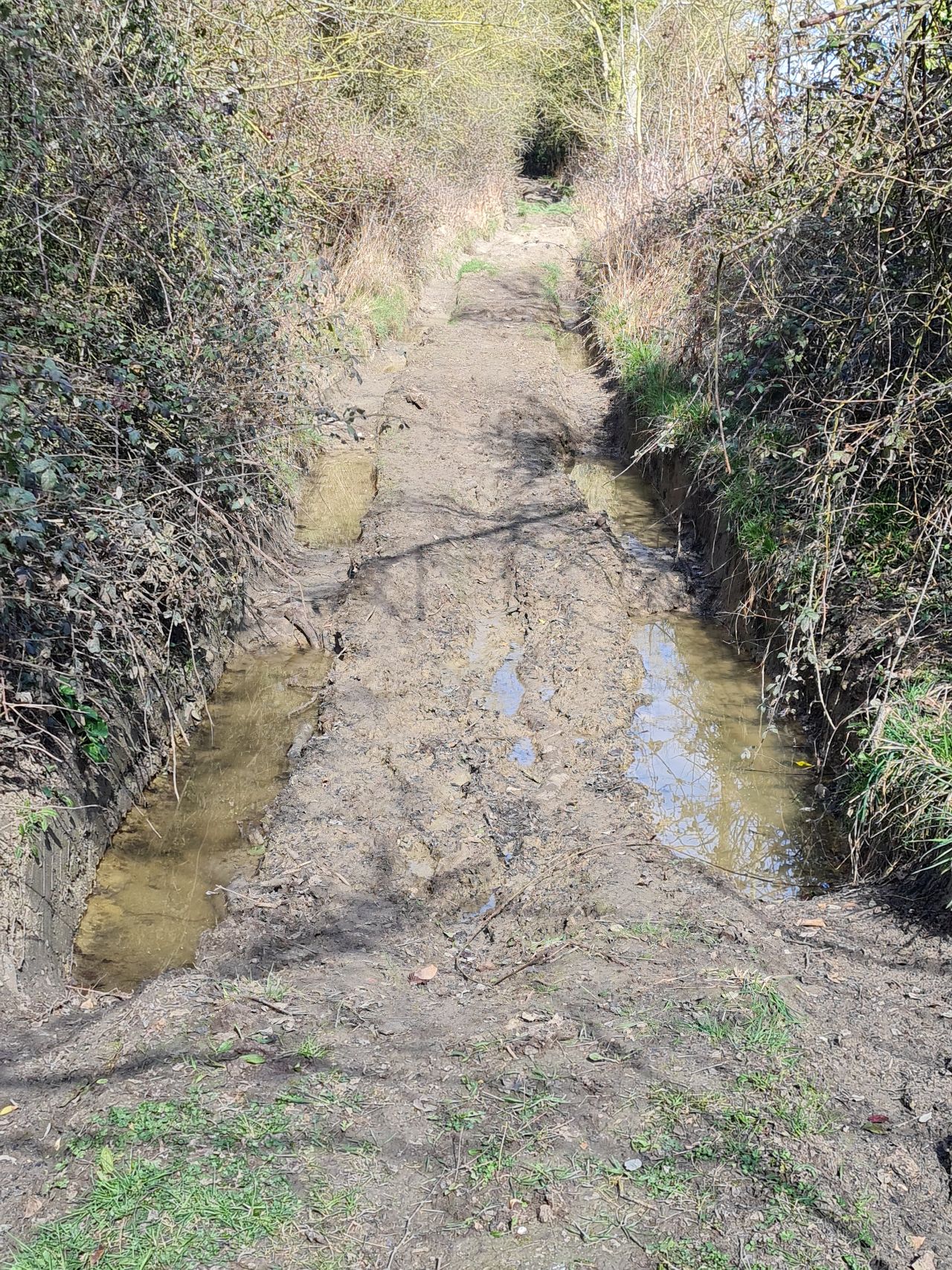 2025-03-15 02 Woodton and Kirstead Green.jpg