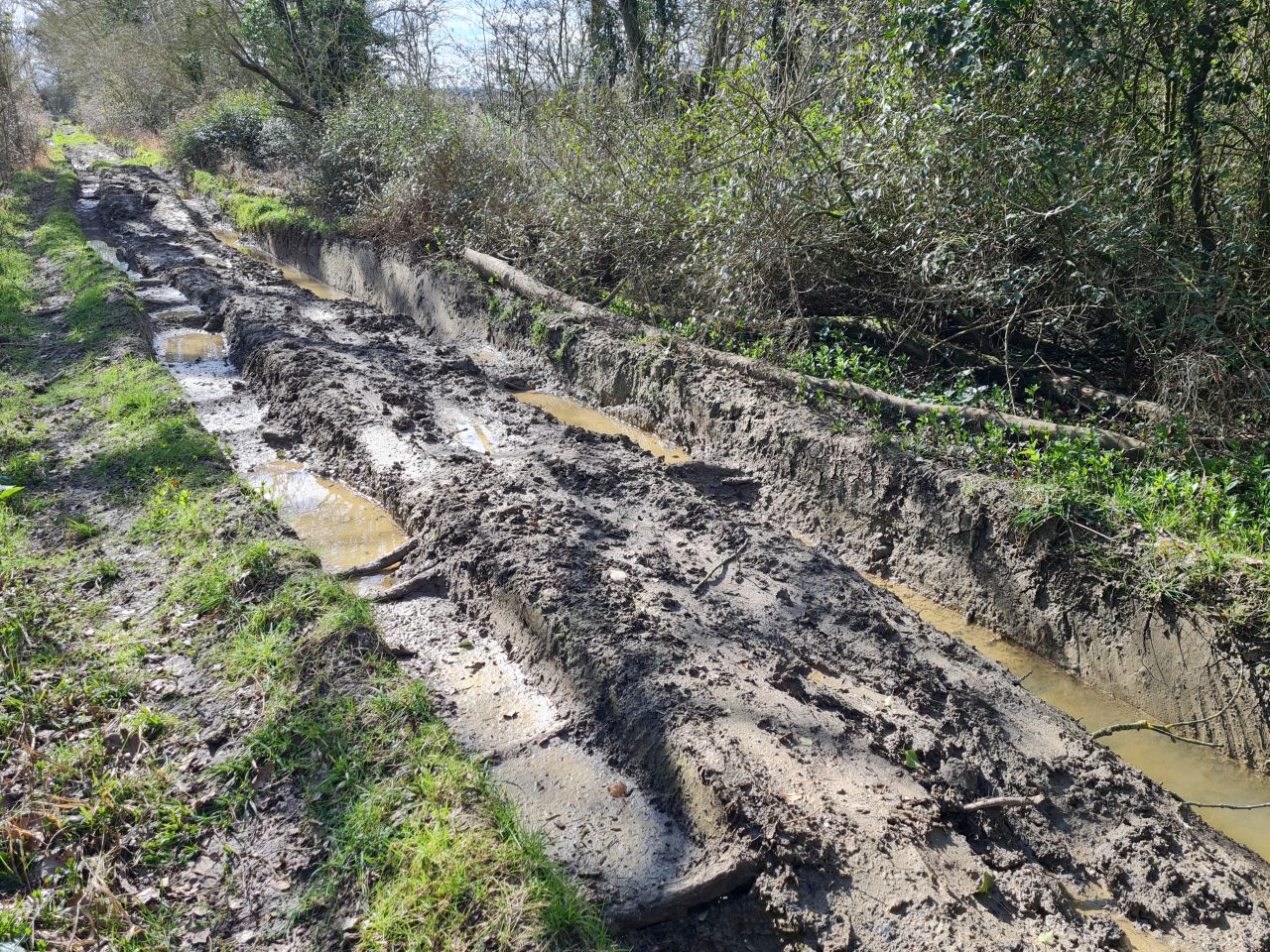 2025-03-15 03 Woodton and Kirstead Green.jpg