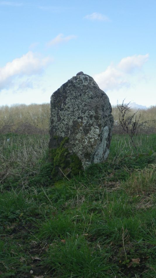 2020-02-23 10 The Stone at Stockton.jpg