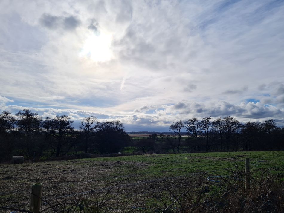 2024-02-25 03 Somerleyton and Lound.jpg