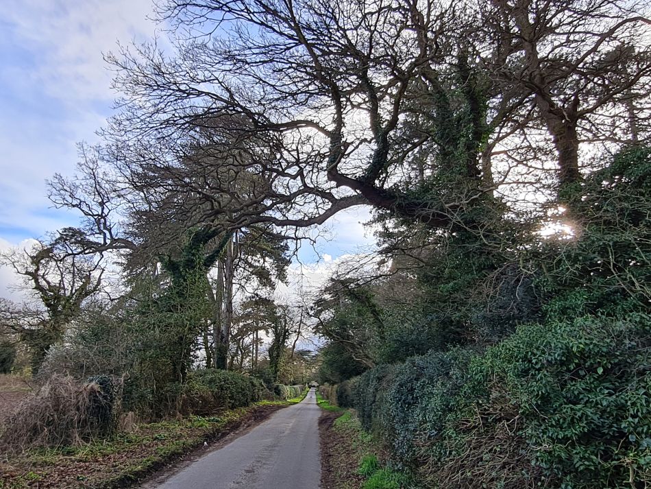 2024-02-25 07 Somerleyton and Lound.jpg