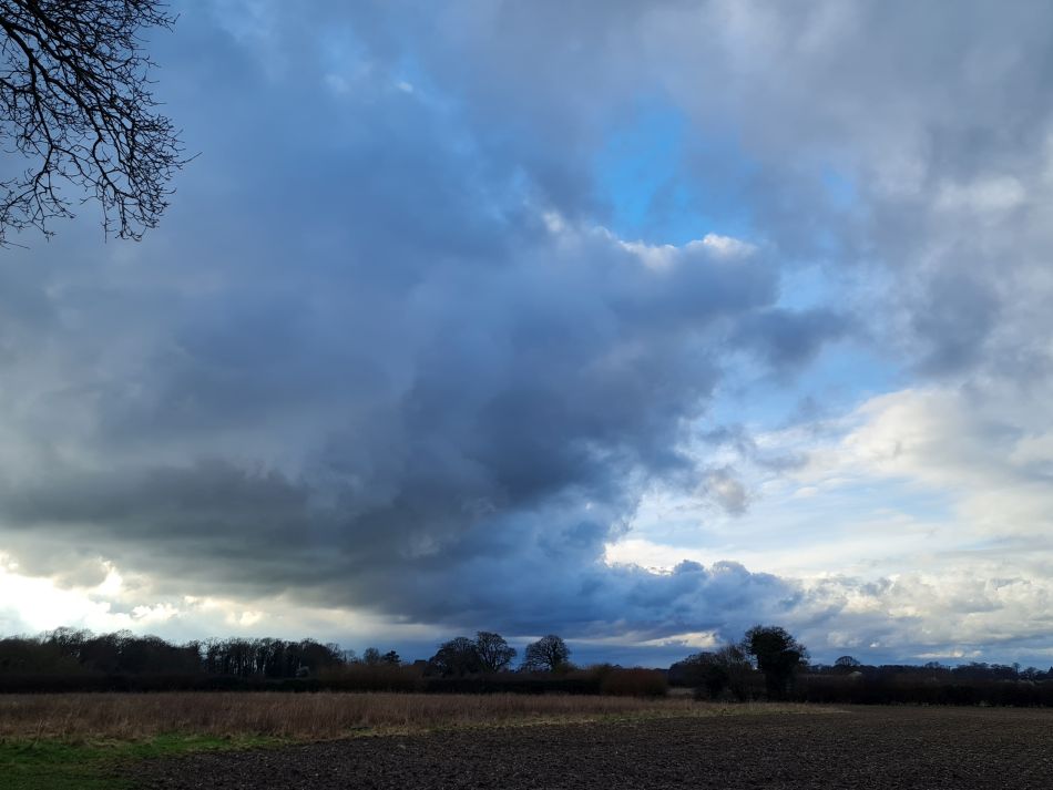 2024-02-25 10 Somerleyton and Lound.jpg