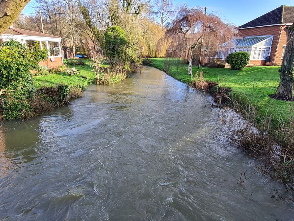 2024-01-04 06 Honingham.jpg