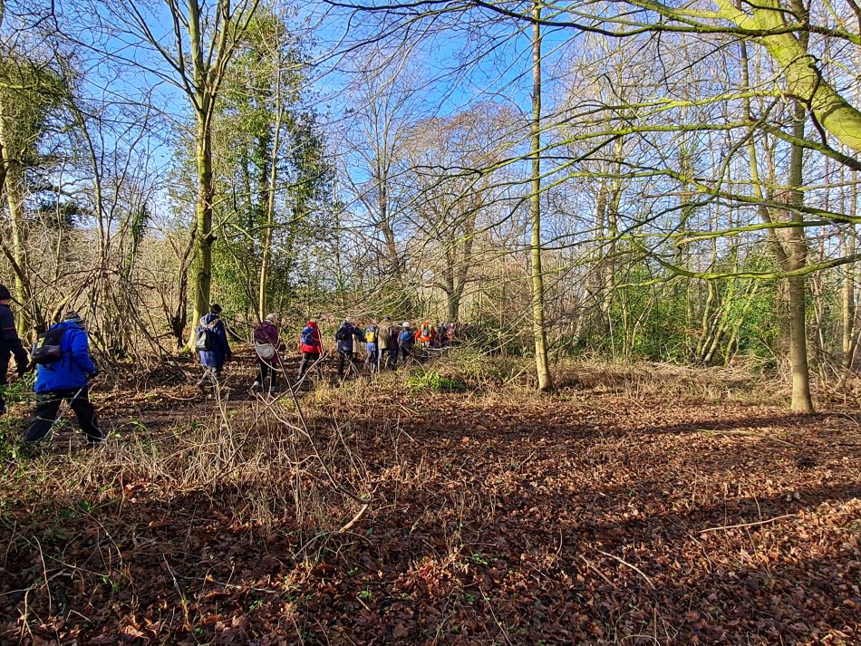 2024-01-04 07 Honingham.jpg