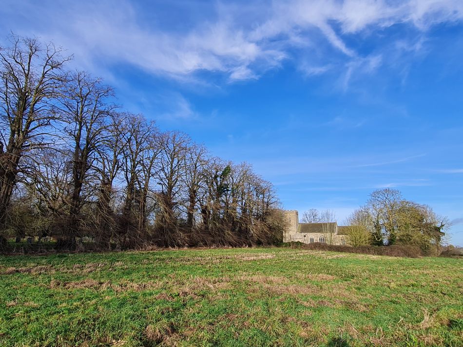 2024-01-04 13 Honingham.jpg