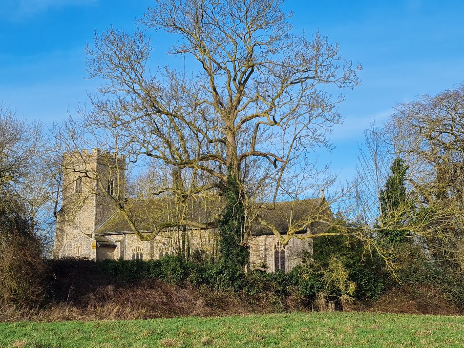 2024-01-04 16 Honingham.jpg