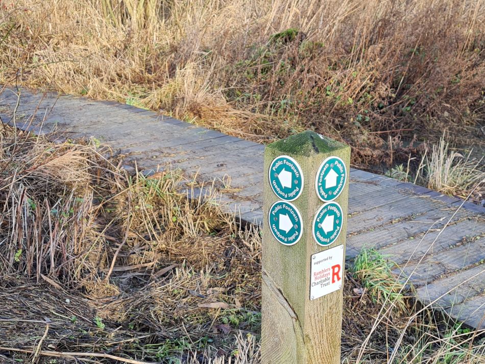 2024-01-04 17 Honingham.jpg