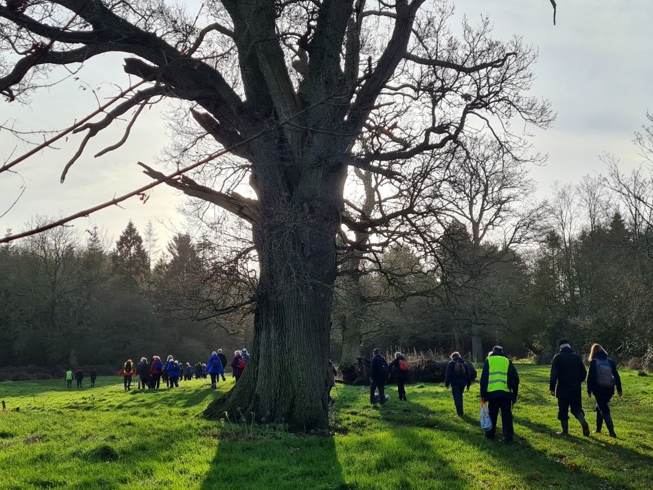 2024-01-04 18 Honingham.jpg