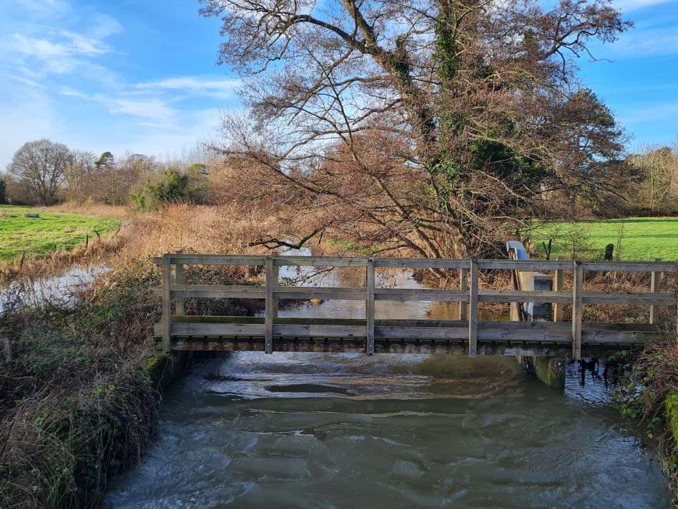 2024-01-04 19 Honingham.jpg