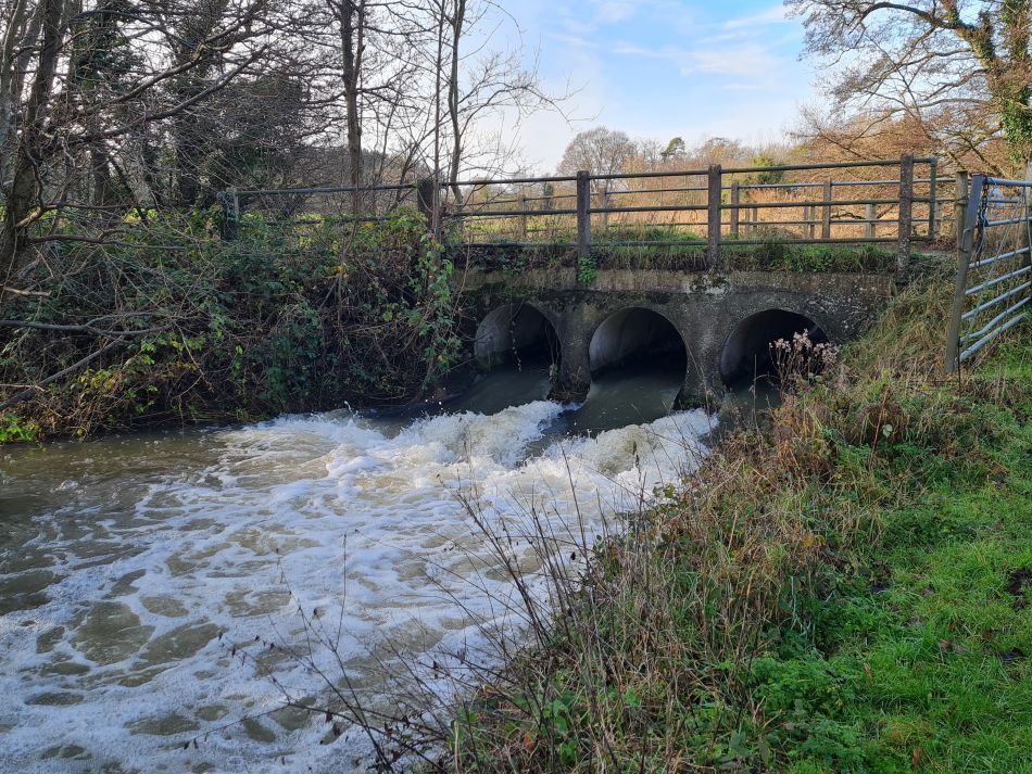 2024-01-04 20 Honingham.jpg