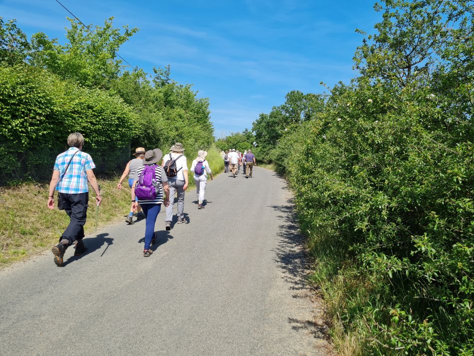 2022-06-15 03 Haddiscoe.jpg