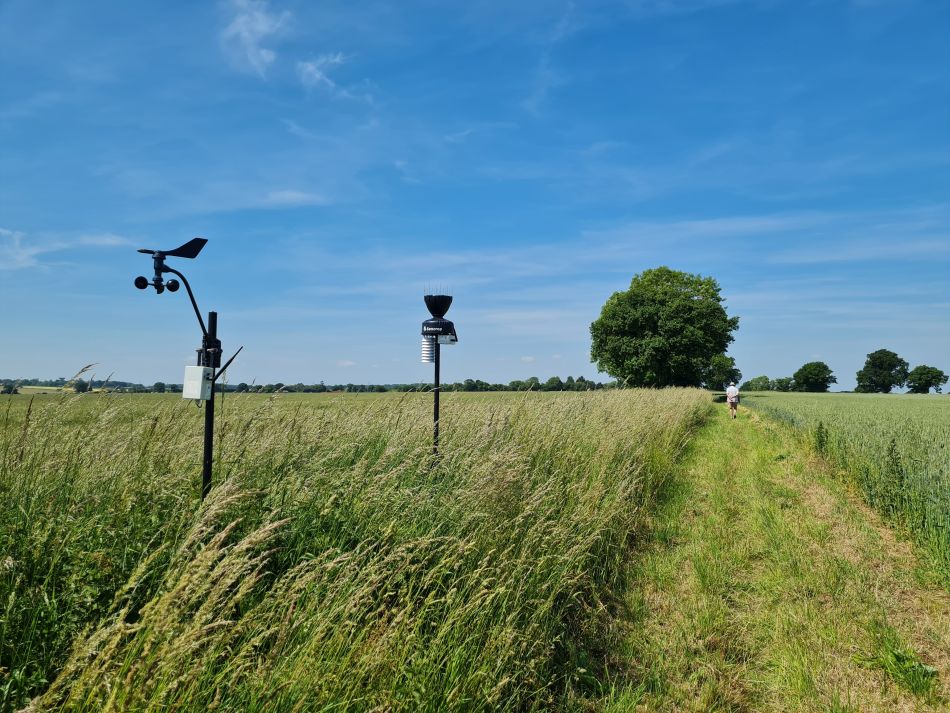 2022-06-15 04 Haddiscoe.jpg