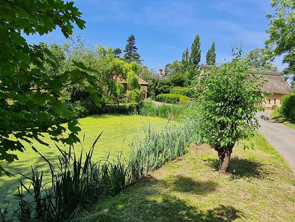 2022-06-15 09 Haddiscoe.jpg