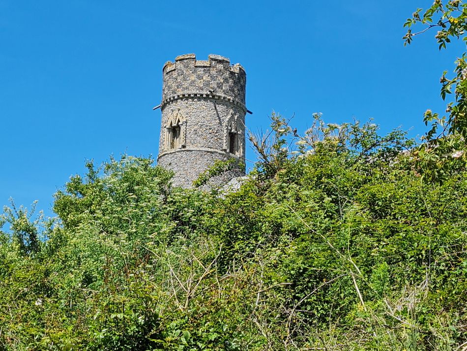 2022-06-15 21 Haddiscoe.jpg