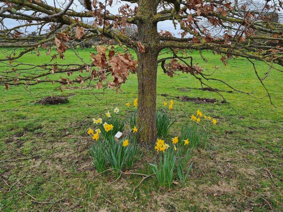 2024-03-13 04 Haddiscoe.jpg