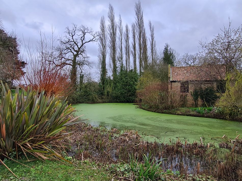 2024-03-13 11 Haddiscoe.jpg