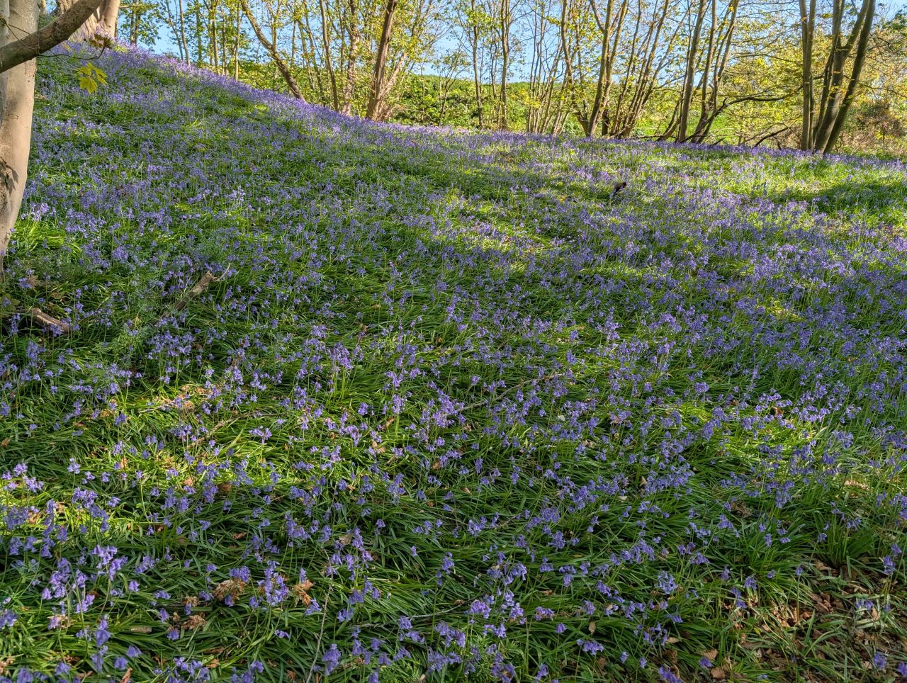 2026-04-22 05 Haddiscoe.jpg