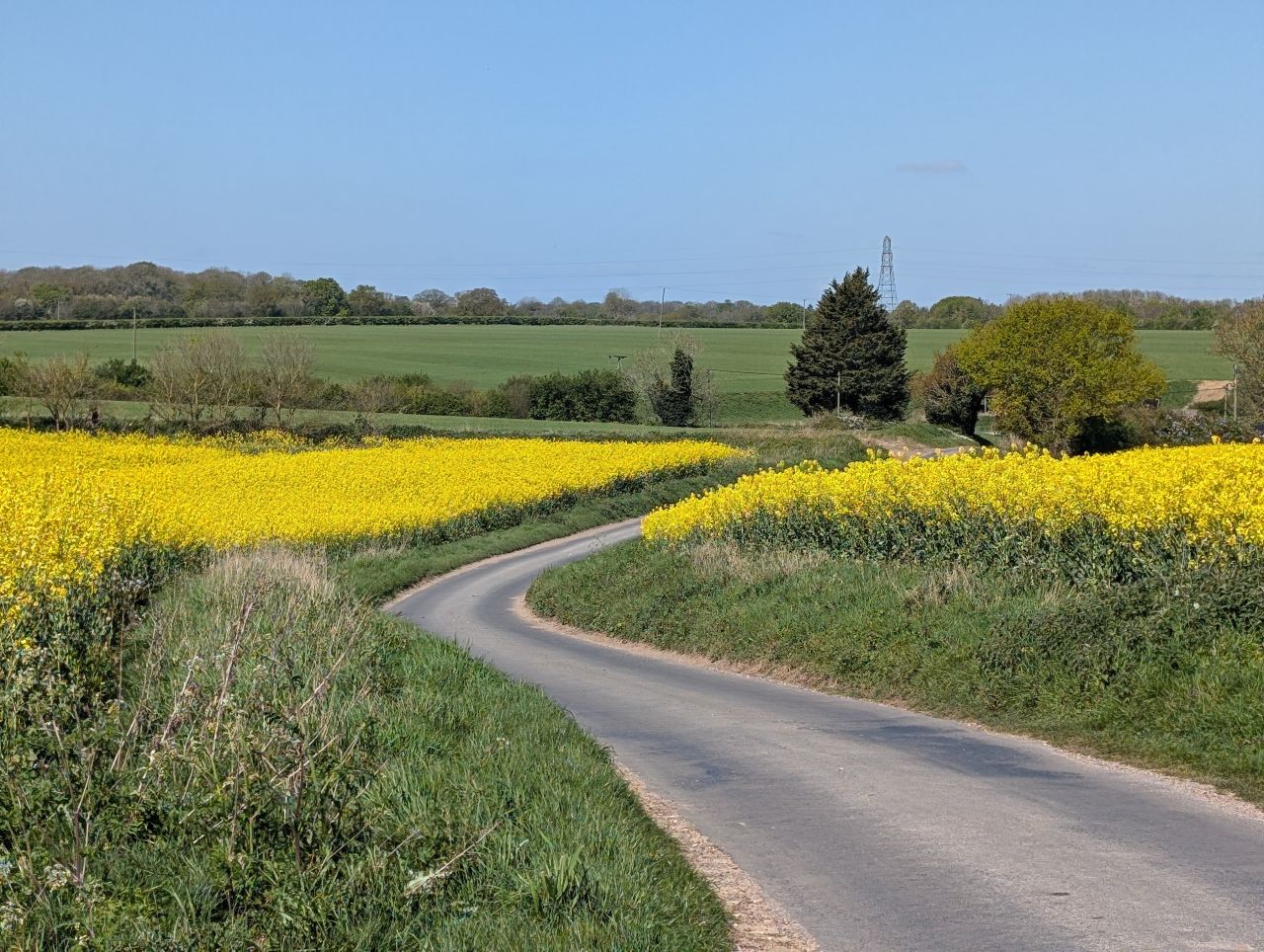 2026-04-22 09 Haddiscoe.jpg