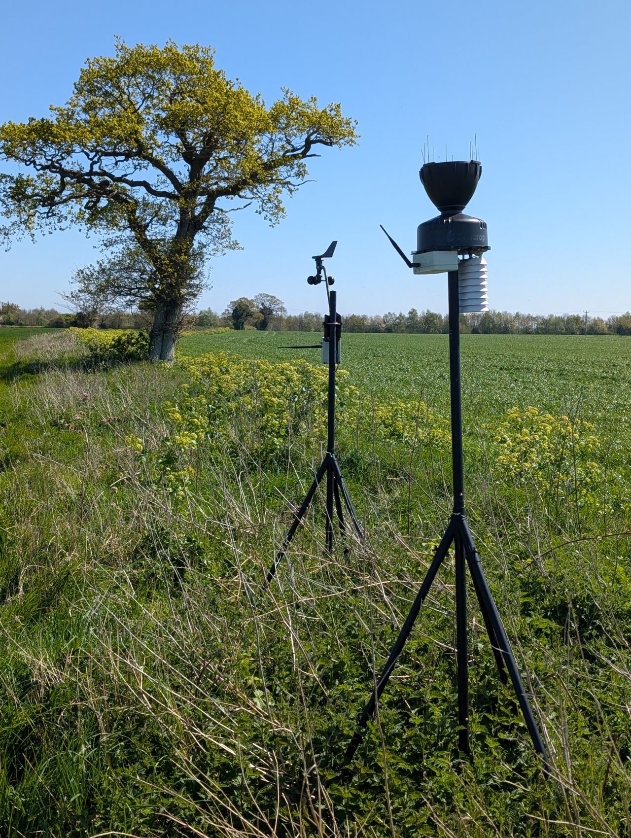 2026-04-22 10 Haddiscoe.jpg