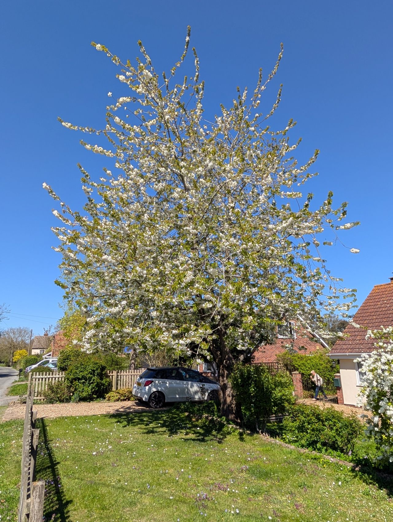 2026-04-22 11 Haddiscoe.jpg