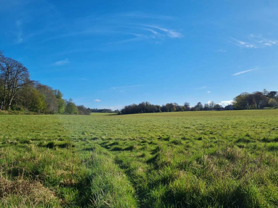 2024-04-18 01 Stansted Park.jpg