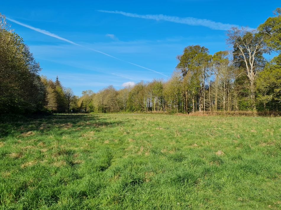 2024-04-18 03 Stansted Park.jpg