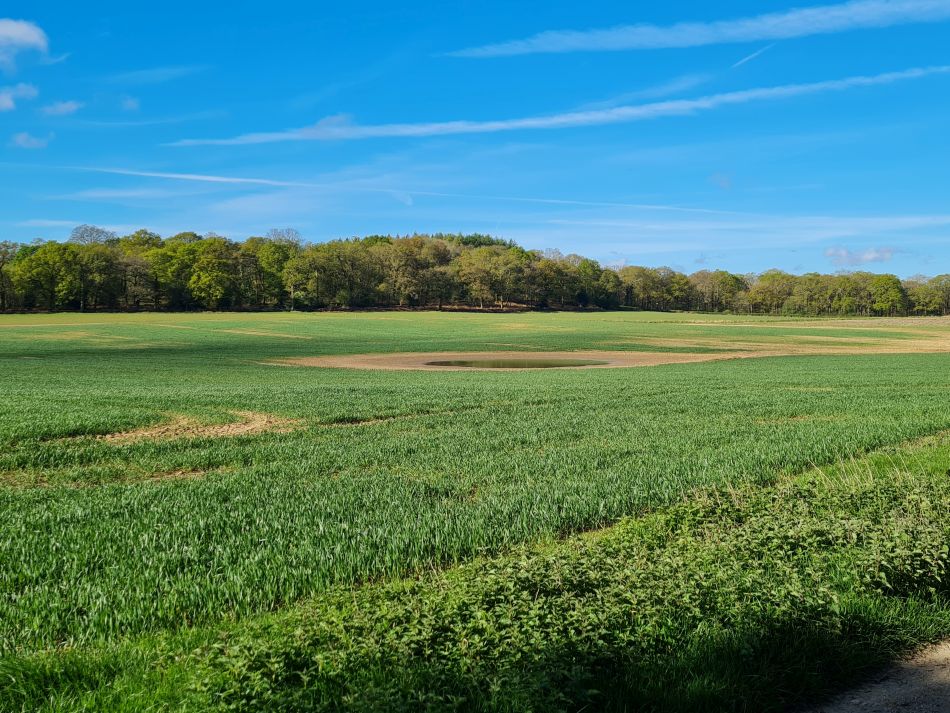 2024-04-18 04 Stansted Park.jpg