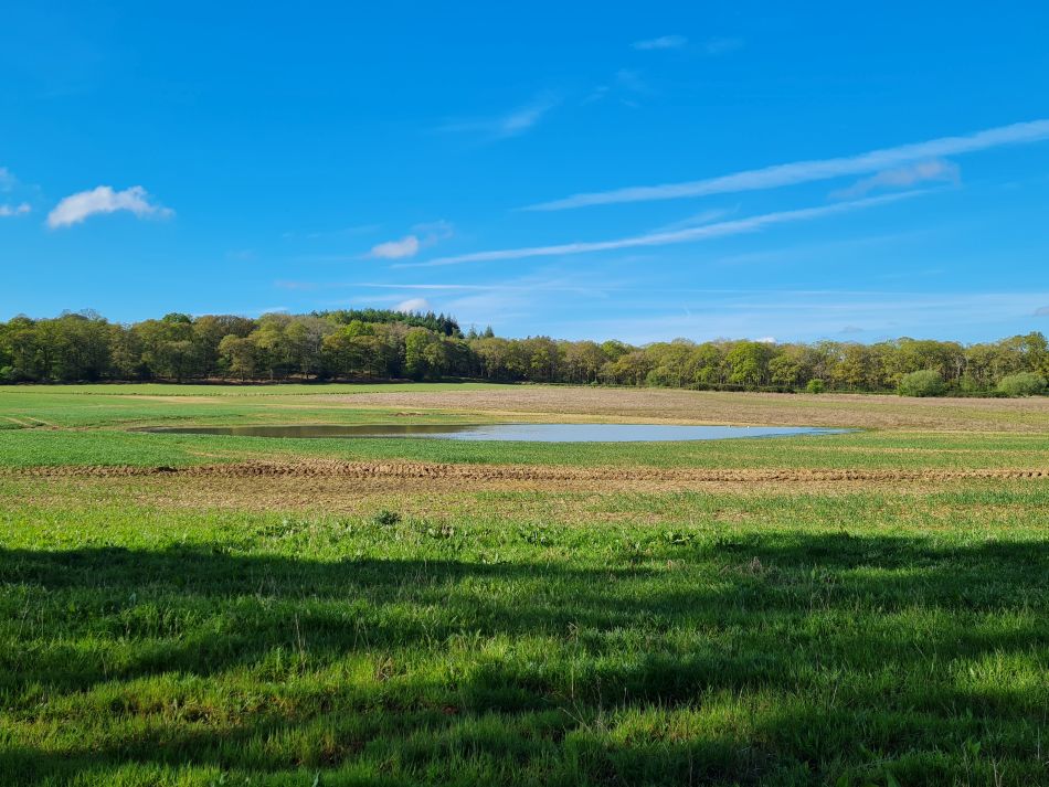 2024-04-18 07 Stansted Park.jpg