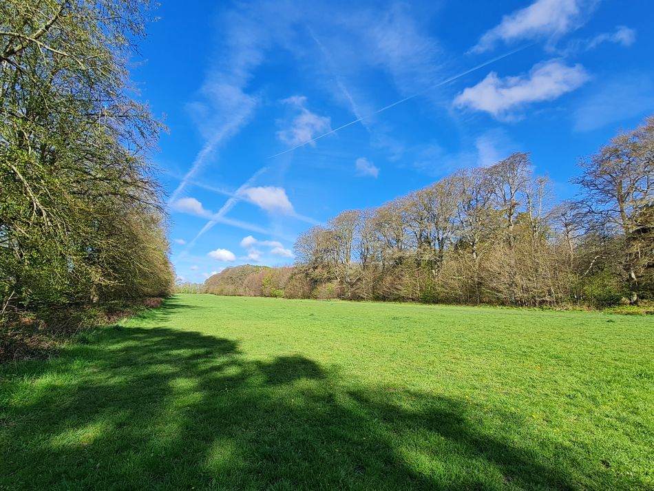 2024-04-18 12 Stansted Park.jpg