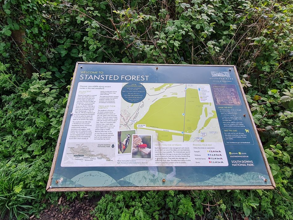 2024-04-18 14 Stansted Park.jpg