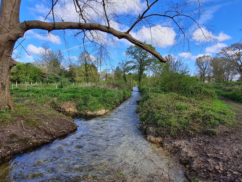 2024-04-18 15 Stansted Park.jpg