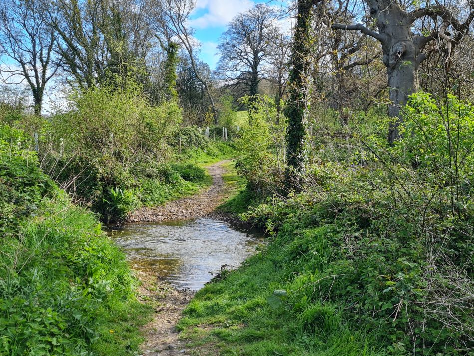 2024-04-18 17 Stansted Park.jpg