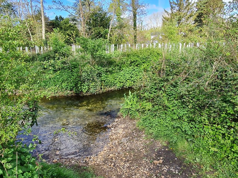 2024-04-18 20 Stansted Park.jpg