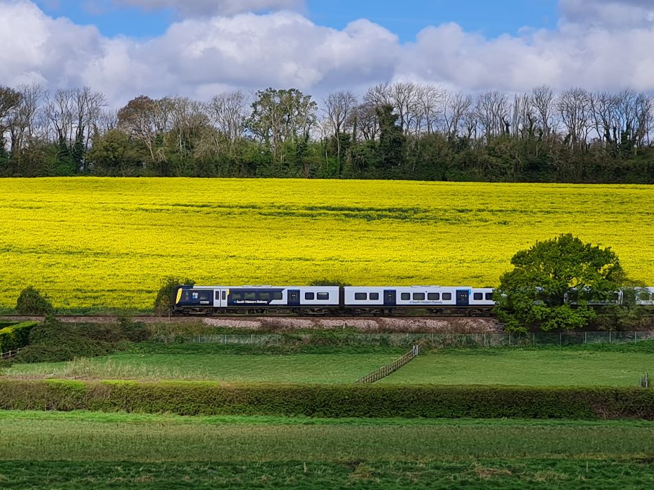 2024-04-18 24 Stansted Park.jpg