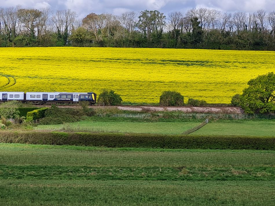 2024-04-18 26 Stansted Park.jpg