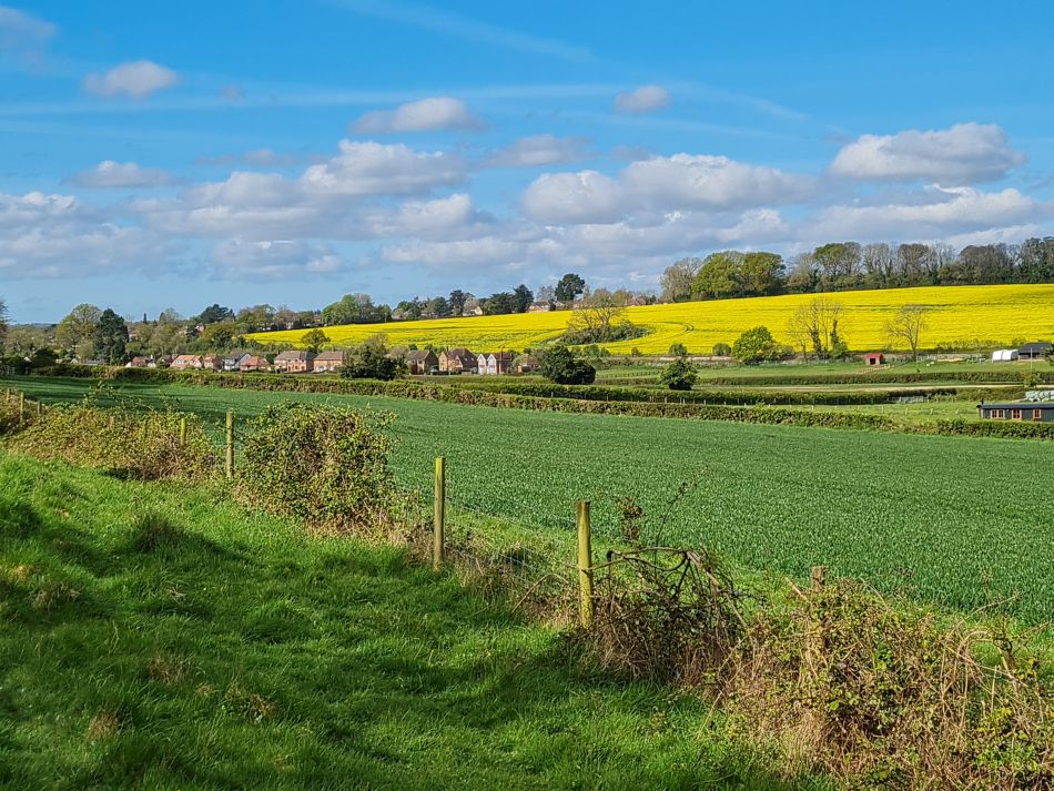 2024-04-18 27 Stansted Park.jpg