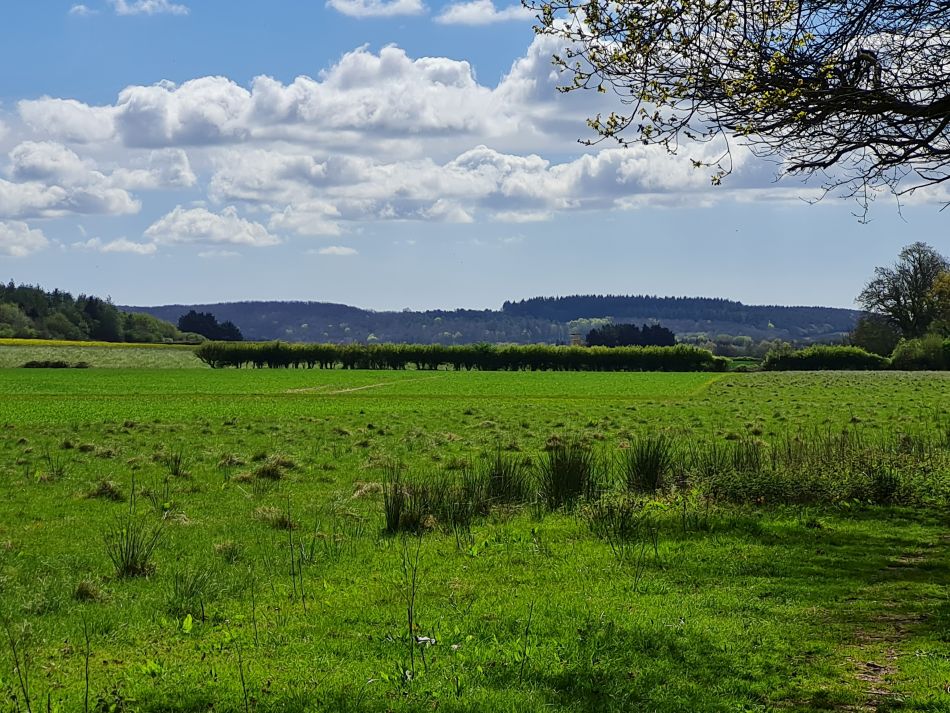 2024-04-18 39 Stansted Park.jpg