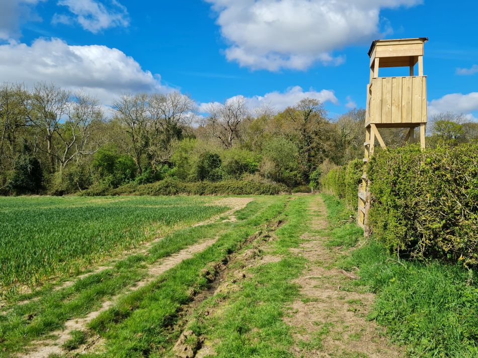 2024-04-18 40 Stansted Park.jpg