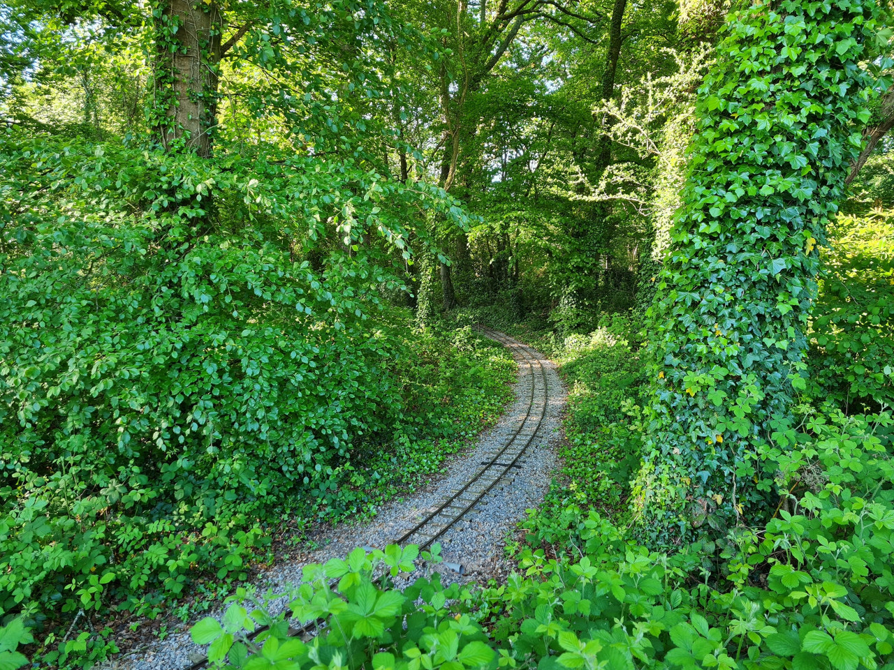 2025-04-05 01 Stansted Park Railway.jpg