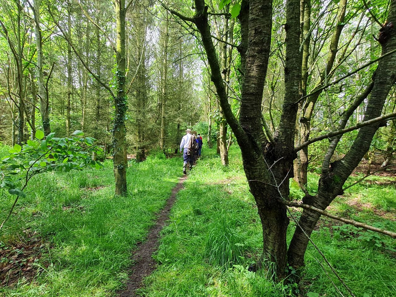 2024-05-17 05 Barsham Loop.jpg