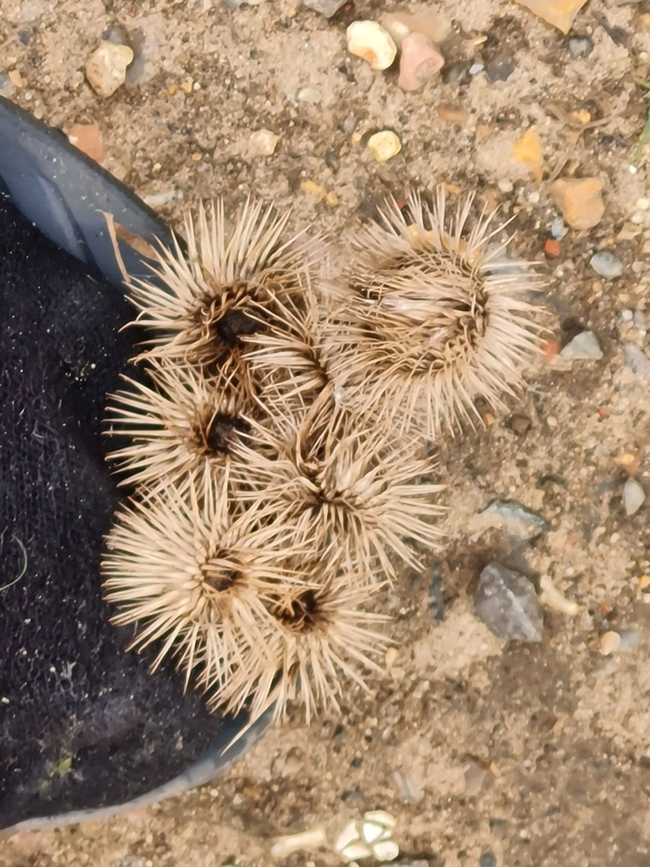 2024-05-17 22 Barsham Loop.jpg