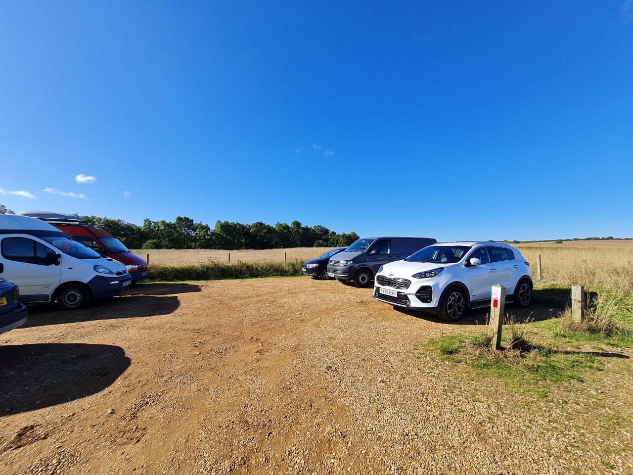 2024-09-12 02 Roydon Common.jpg