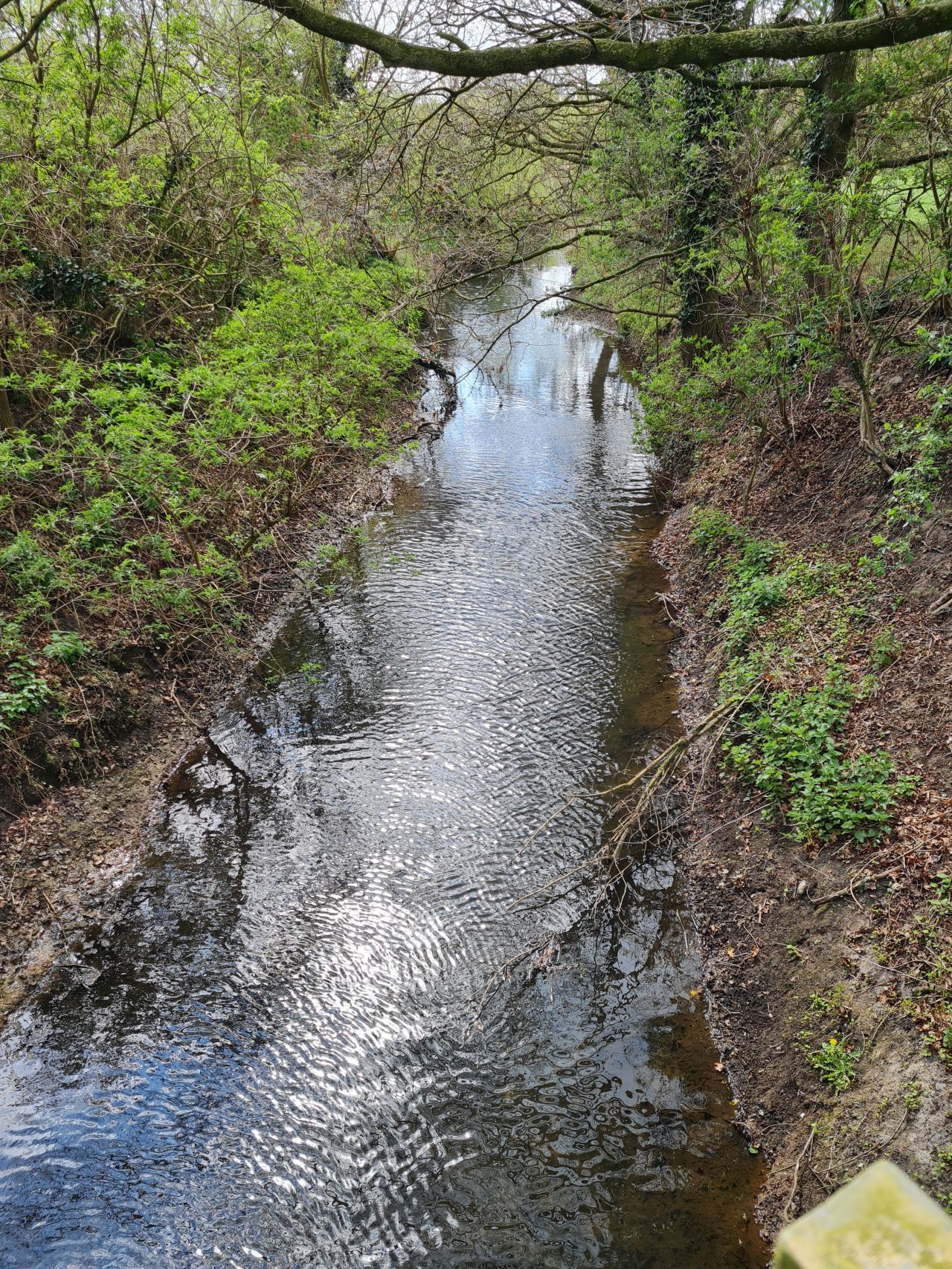 2025-04-13 37 Rickinghall and Thelnetham.jpg