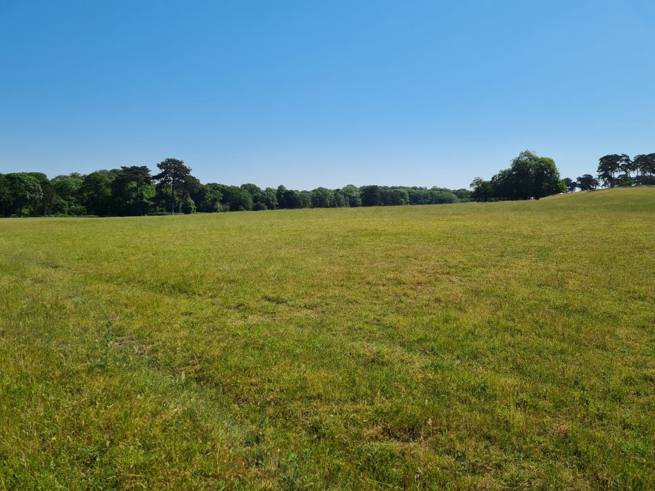 2023-06-15 02 Wensum at High Ash Farm.jpg