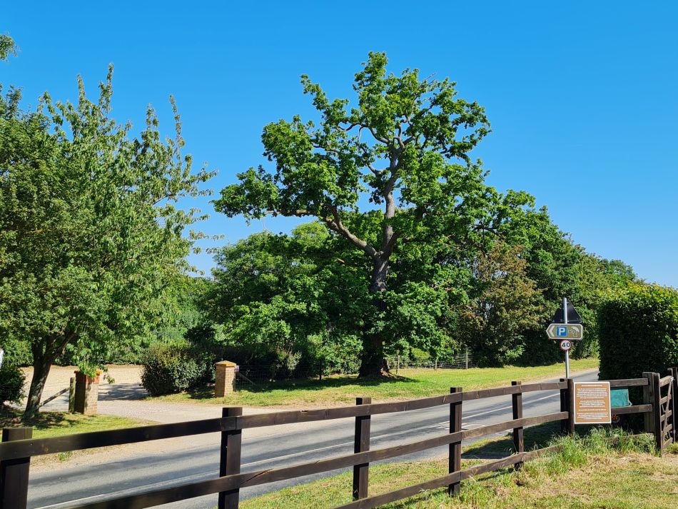 2023-06-15 05 Wensum at High Ash Farm.jpg